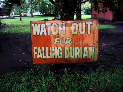 Wayfinding and Typographic Signs - beware-of-falling-durian