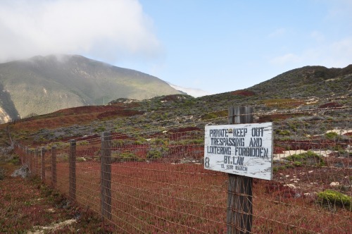 Wayfinding and Typographic Signs - big-sur-warning