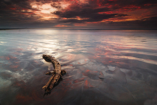 Beautiful Photography - Song of Tide