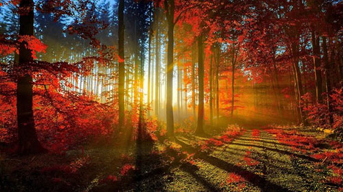 beautiful nature wallpapers for facebook cover page