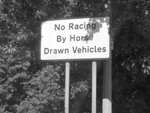 Wayfinding and Typographic Signs - no-racing-by-horse-drawn-vehicles