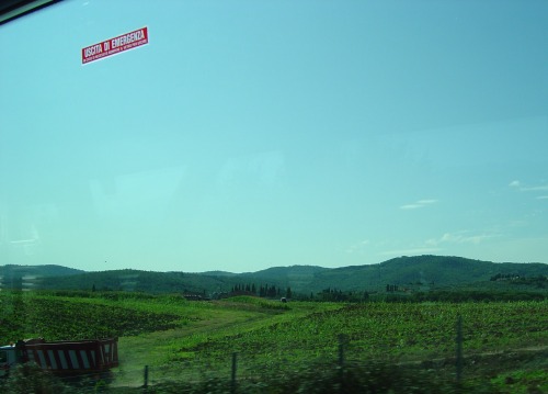 Wayfinding and Typographic Signs - exit-sign-on-window