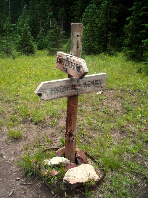 Wayfinding and Typographic Signs - copper-park