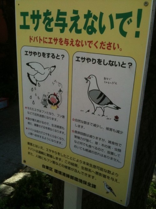 Wayfinding and Typographic Signs - bird-poop-signage