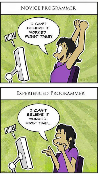The difference between novice and experienced programmers.