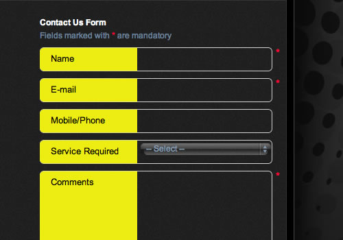 Bit Solutions Form