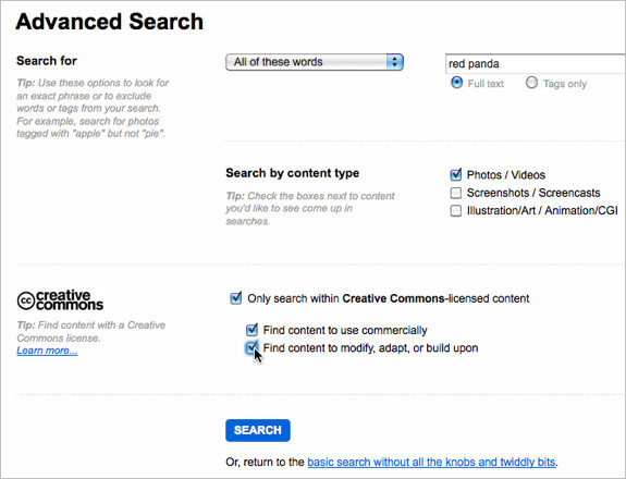 Advanced Search in Flickr