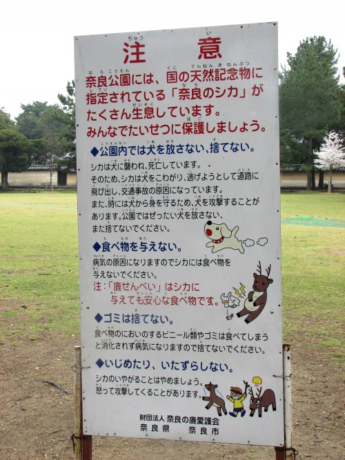 Wayfinding and Typographic Signs - walking-in-a-japanese-park