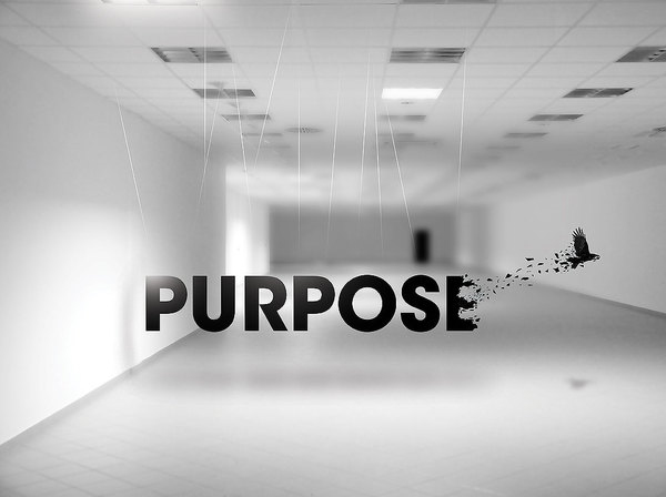 Purpose