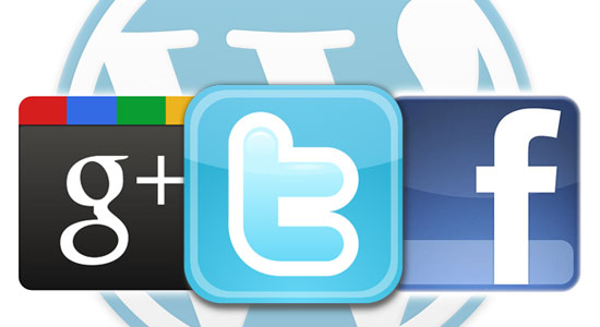The Big Three: Twitter, Facebook, and Google+