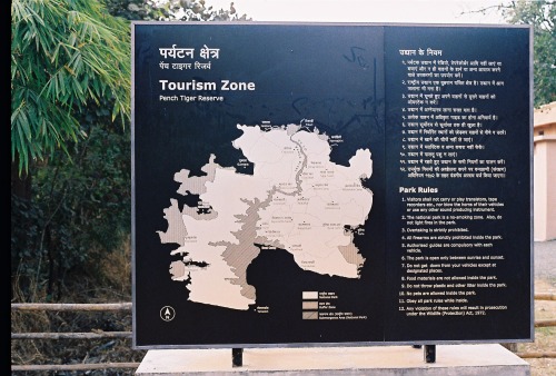 Wayfinding and Typographic Signs - tiger-territory-1