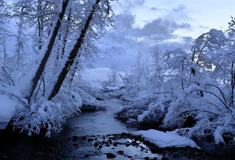 15+ Beautiful Photos of Winter