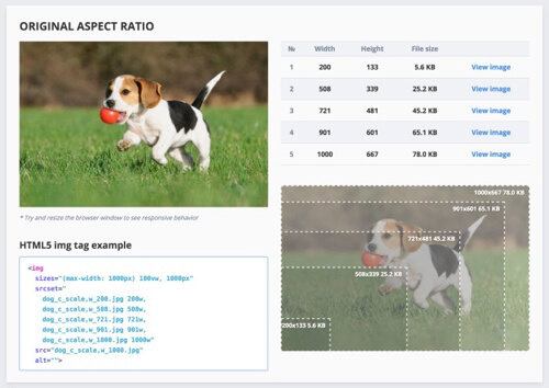 Screen showing the result of generated images