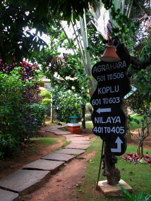 Wayfinding and Typographic Signs - road-to-hassan-village
