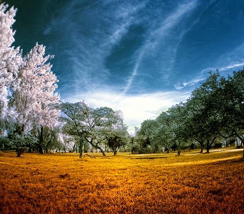 Infrared Photography