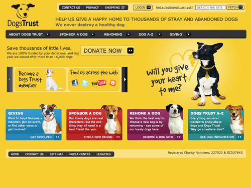 DogsTrust website home page