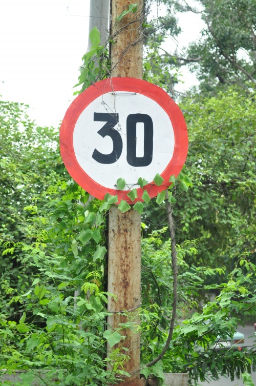 Wayfinding and Typographic Signs - speed-limit