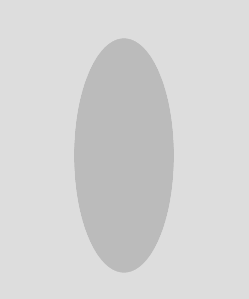 A simple elliptical shape created with the Ellipse tool.
