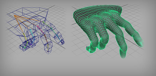 Subdivision Surfaces