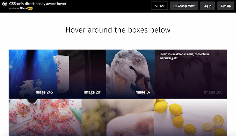 CodePen Directionally-Aware Hover Only With CSS