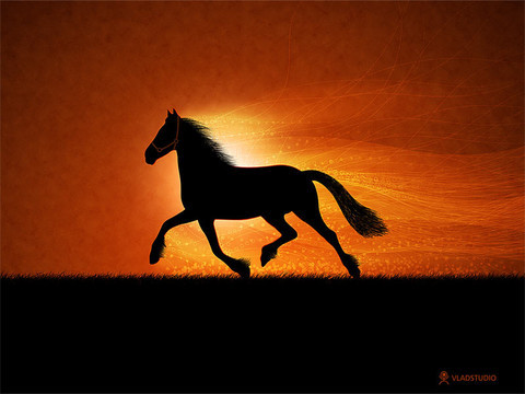 Beautiful Nature Wallpapers - The Running Horse | Vladstudio.com - free desktop wallpapers, widescreen, dual monitors, iPhone wallpapers, backgrounds for mobile phones, wallpaper clocks, e-cards