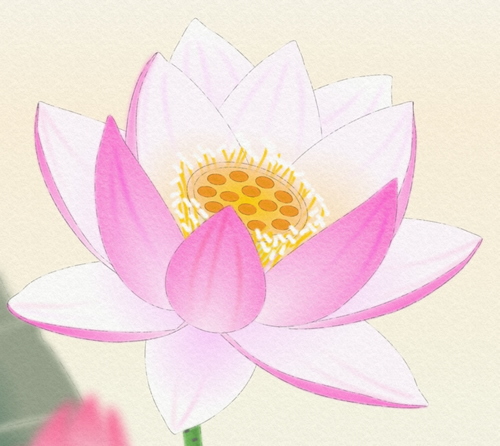 Chinese painting style in Adobe Fireworks