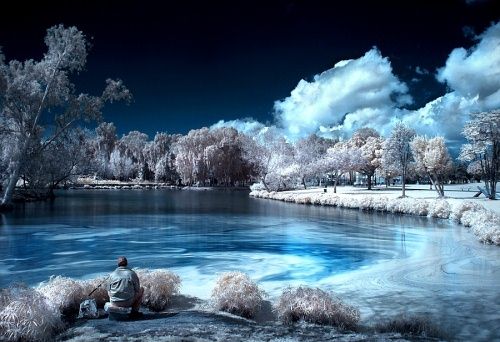 Infrared Photo