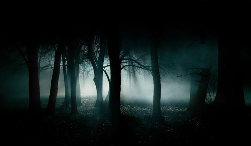 HD wallpaper halloween wallpaper forest cemetery pumpkin horror scary   Wallpaper Flare