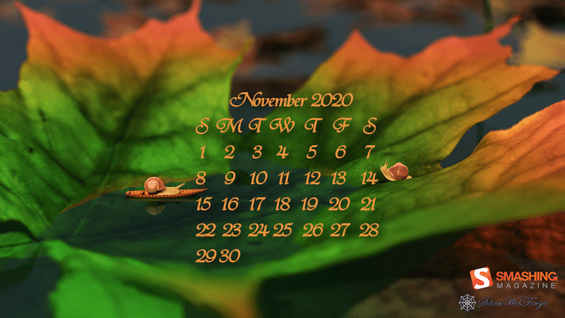 Free Desktop Backgrounds November 2021  A Dash of Kam