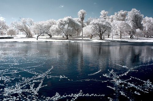 Infrared Photo