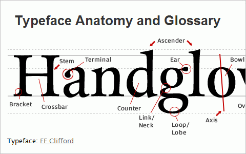 Useful Typography Resources - Typeface Anatomy and Glossary