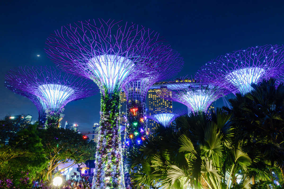 A beautiful view from the Gardens of the Bay onto the Singapore’ skyline at night.