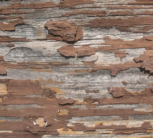 Wood Texture