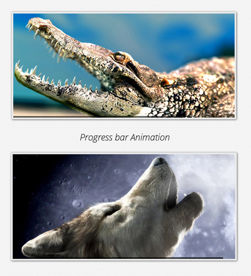 Progress bar Animation for each image