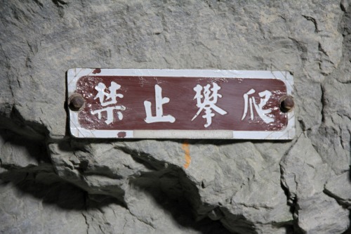 Wayfinding and Typographic Signs - do-not-climb