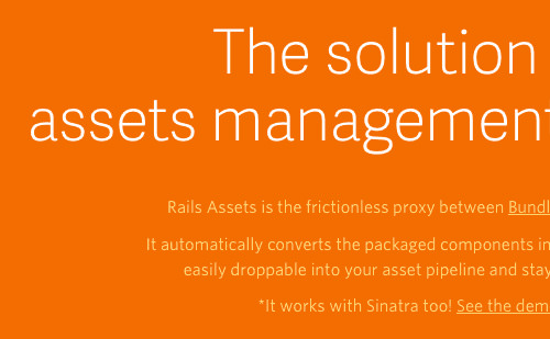 04-rails-assets-opt