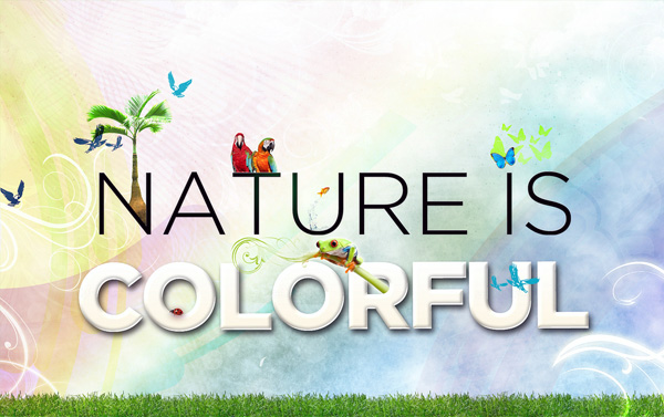 Nature is Colorful