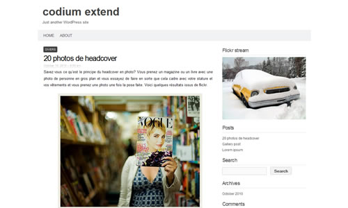 Codium Extend Free WP Theme