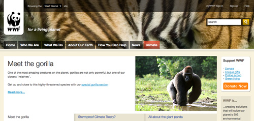 WWF on Firefox