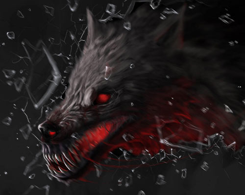 bloody anime wolf wallpaper