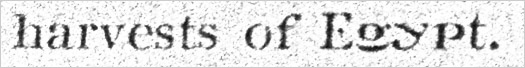 Egypt set in a face that extends no lower than the baseline.