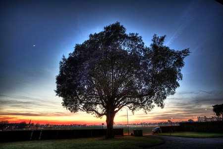 HDR Photos - The Aliens Have Landed