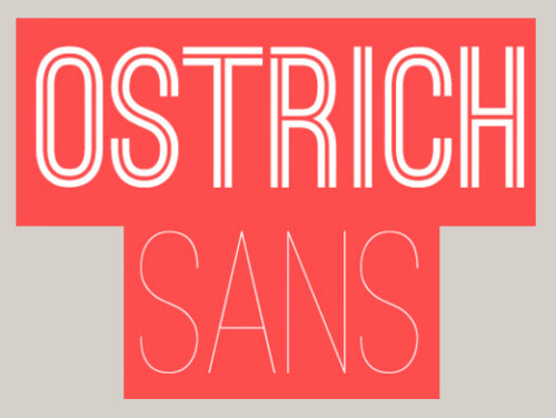 Ostrich Sans