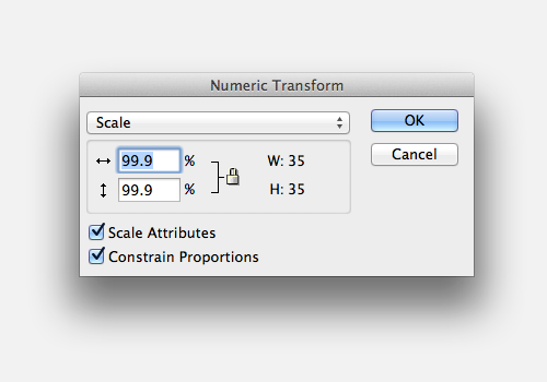 Using Numeric Transform