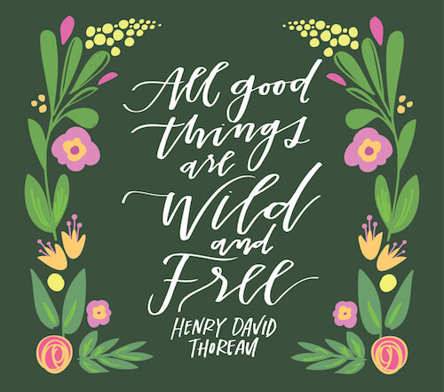 All good things are wild and free, Henry David Thoream, hand lettering by Caitlin Bristow