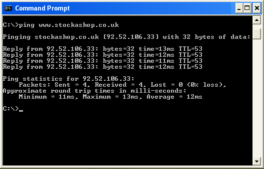 Ping command from a Windows computer