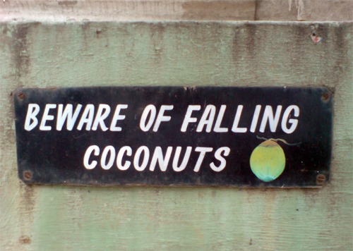 Wayfinding and Typographic Signs - beware-of-falling-coconuts