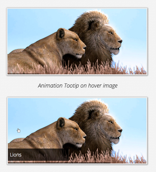 Tooltip Animation