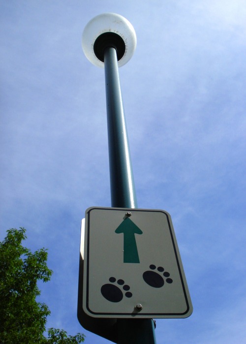 Wayfinding and Typographic Signs - all-dogs-go-to-heaven