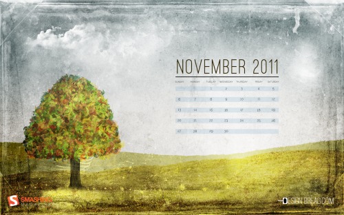 Smashing Wallpaper - november 11